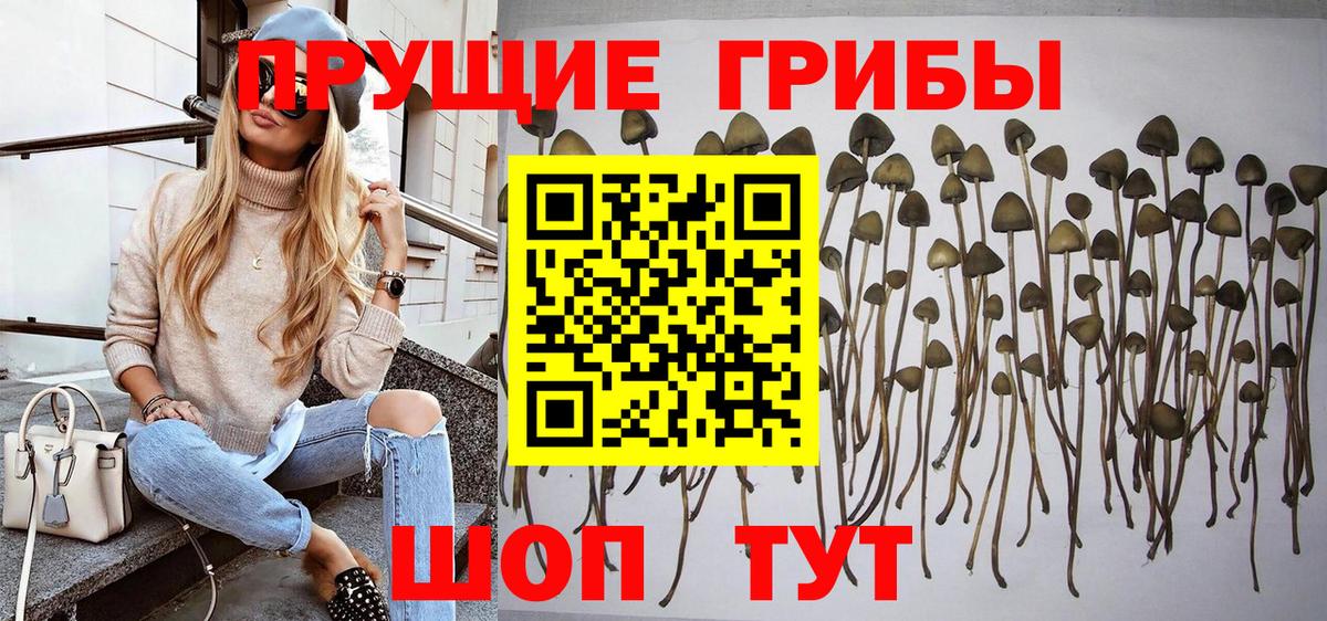 Беслан  Псилоцибиновые грибы MAGIC MUSHROOMS  Вход с VPN 