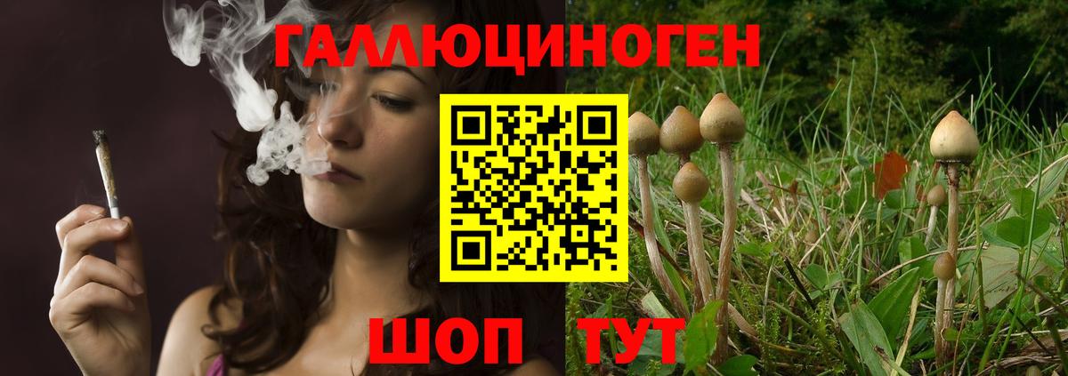 Галлюциногенные грибы Psilocybe Беслан